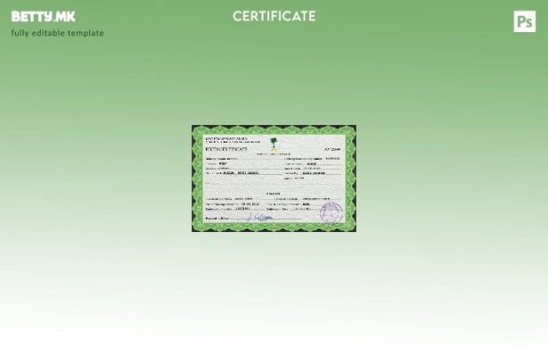 модерен стил Саудиска Арабија од витално значење за евиденција на извод од матич